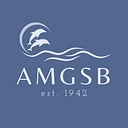 Anesthesia Medical Group logo