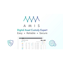 Amis Holdings