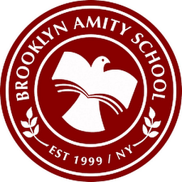 BROOKLYN AMITY SCHOOL logo