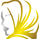 Amofashion LTD logo