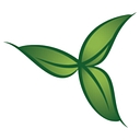 Amoroso Wellness at York