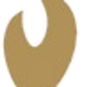 THE DANIEL P AMOS FAMILY FOUNDATION logo