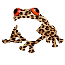 Amphibious Zoo Music logo