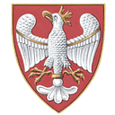 American Institute of Polish logo