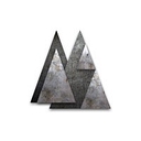 Asset Management Solutions logo