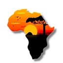 Amsha Africa Foundation logo