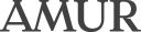 Logo for amur.com