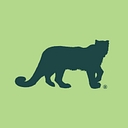 Amur Equipment Finance logo