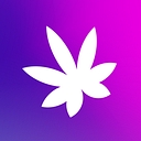 Amuse logo