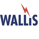 A. N. Wallis & Co Ltd logo