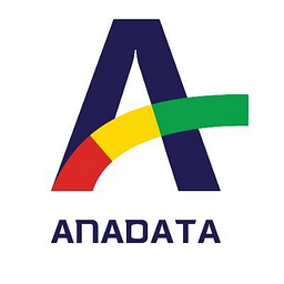Ana-Data Consulting logo