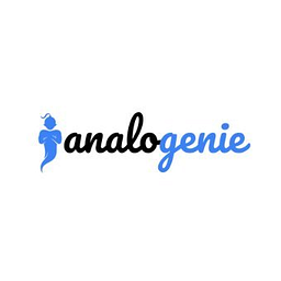 analogenie logo