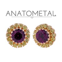 anatometal.com logo