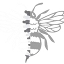 Ancoatschiropractic logo