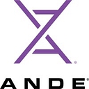 Ande logo