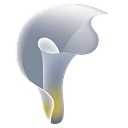 Anderson Maguire Funeral Directors logo