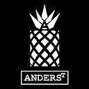 Favicon of Robert Anderst