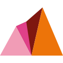 THE ANDREWS FOUNDATION logo