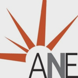 Africa New Energies Ltd logo
