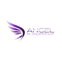 Angel Business Capital logo