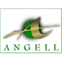 The Angell Pension Group logo