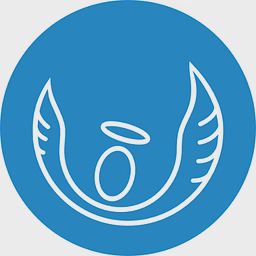 ANGEL SOLUTIONS LTD logo