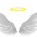 Angel Wings Foundation logo