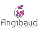 Angibaud