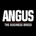 Angus Productions Inc. logo
