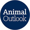 Animal Outlook Inc logo