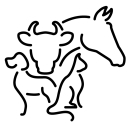 Kimball Veterinary Clinic logo