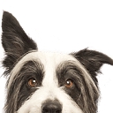 Animal Trust logo