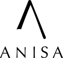 Anisa International, Inc. logo