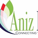 Aniz Inc