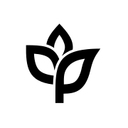 Ankorstore logo