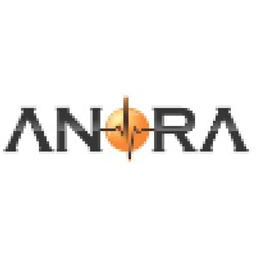 Anora LLC logo