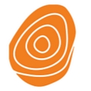 Ansell Strategic logo