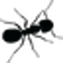 ANT/ANTI