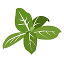 Anthony's Pronto Kitchen logo