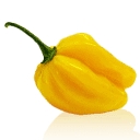 antilliaans-eten.nl logo