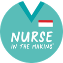 anurseinthemaking.com logo