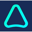Anyone AI logo