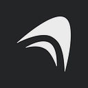 Anything logo