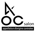 Aoc Salon logo