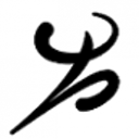 American Orthotic and Prosthetic logo