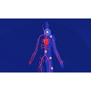 Aorten- und GefässZentrum