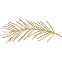 Alpine Private Capital, Llc logo