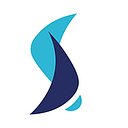 The Virtual Trade Mission (NZ) Trust logo