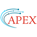 Apex Pro IT solutions logo