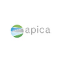 Apica